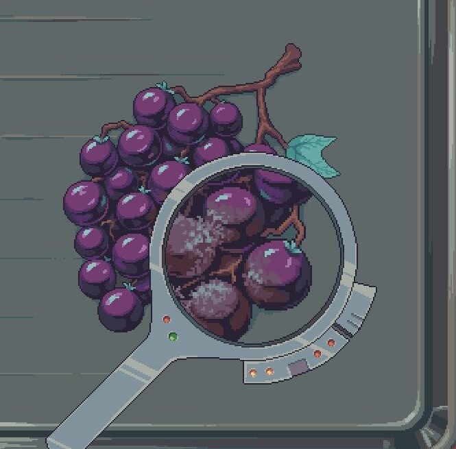 The magnifying glass enlarges a grape cluster and reveals pale mottled patches on several berries.